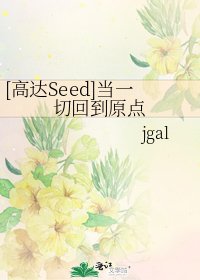 [高达Seed]当一切回到原点